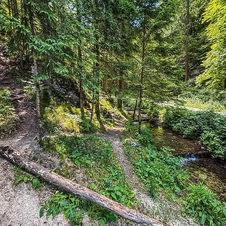 Rocky Meadow - Place For *